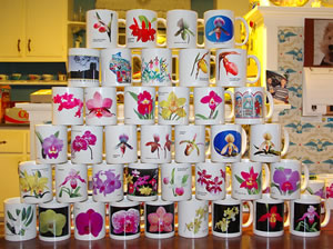 mugs